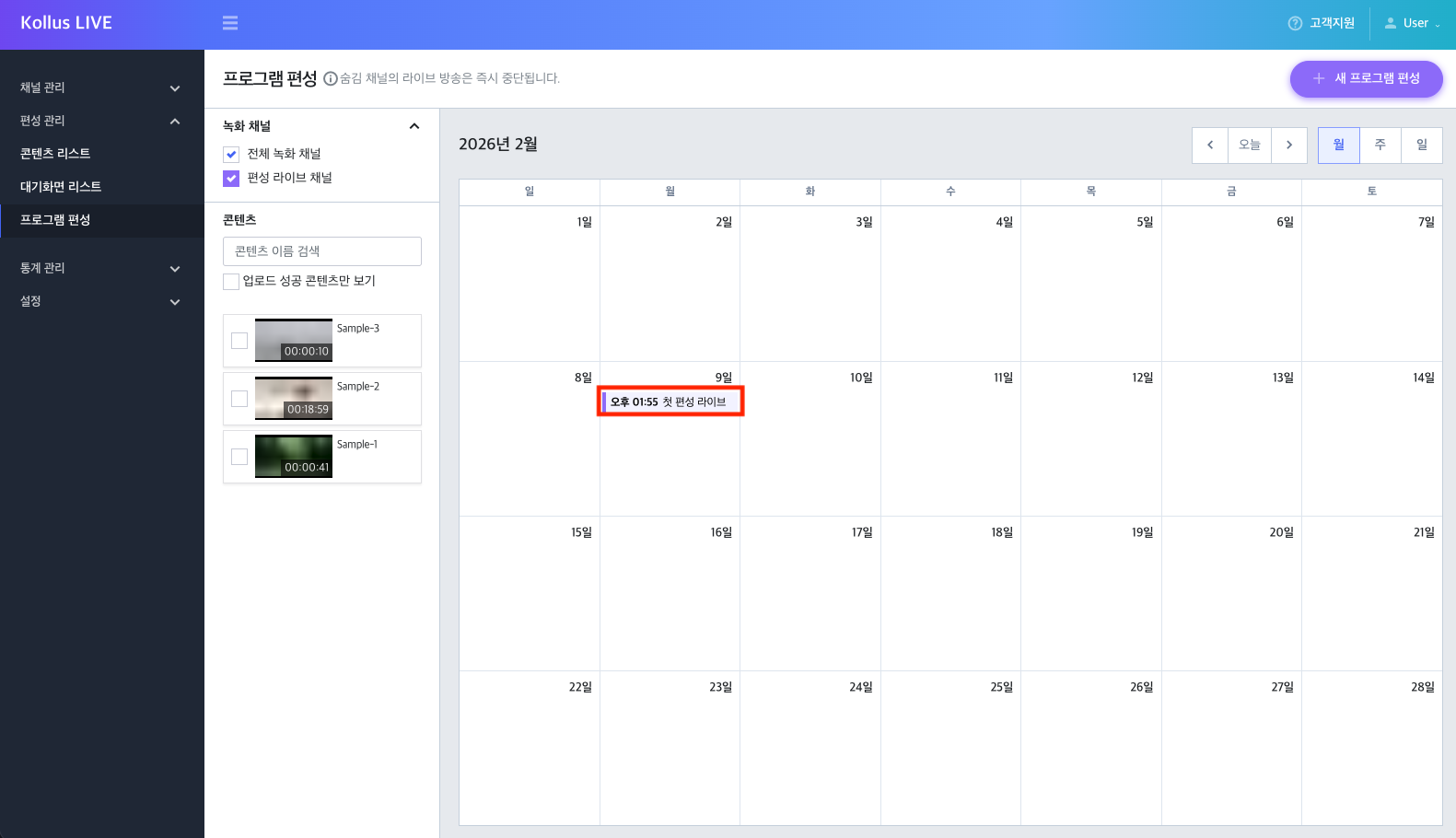 프로그램 편성 화면