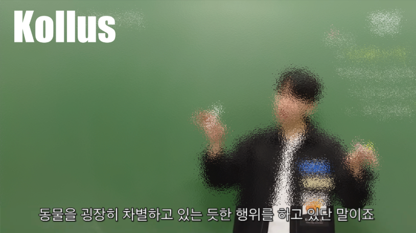 Kollus 최적화 자막 예시